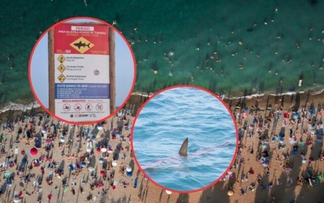 niño muere ataque tiburón