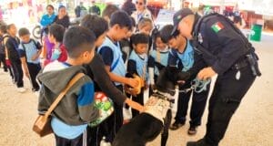 Estrategia y Coordinación: Valladolid reporta saldo blanco en la clausura de la Expo Feria 2026