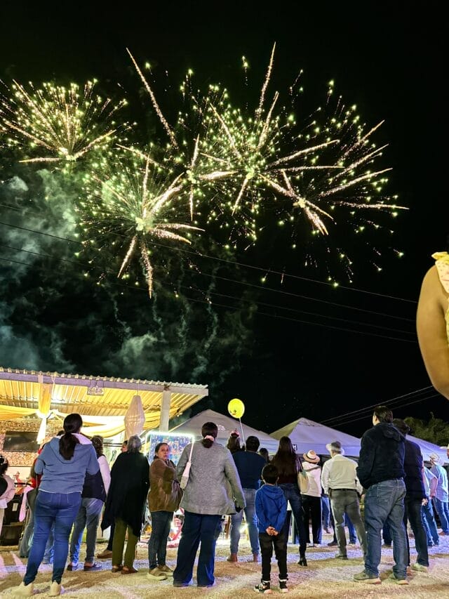 Gran cierre de la Expo Feria Valladolid 2026 reúne a miles de visitantes
