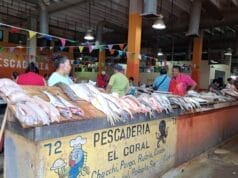 Ventas bajas en cuaresma: Locatarios del mercado Pedro Sainz de Baranda llaman a apoyar lo local