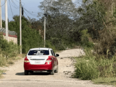 Hallan a hombre sin vida en brecha cercana a subestación de la CFE en Champotón Hallan a hombre sin vida en brecha cercana a subestación de la CFE en Champotón