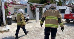 Ataque de abejas deja a mujer lesionada en fraccionamiento Dalias