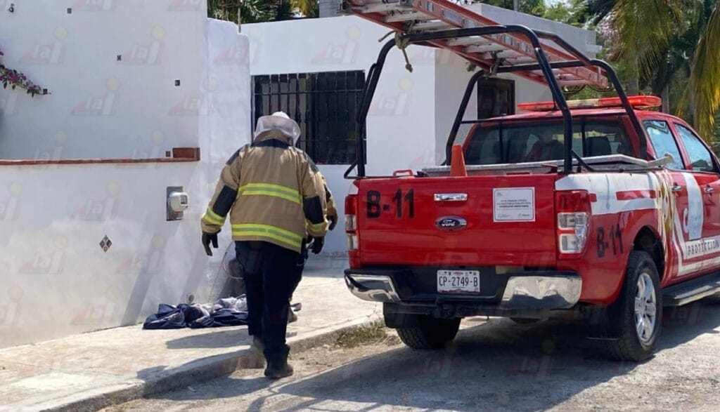 Ataque de abejas deja a mujer lesionada en fraccionamiento Dalias