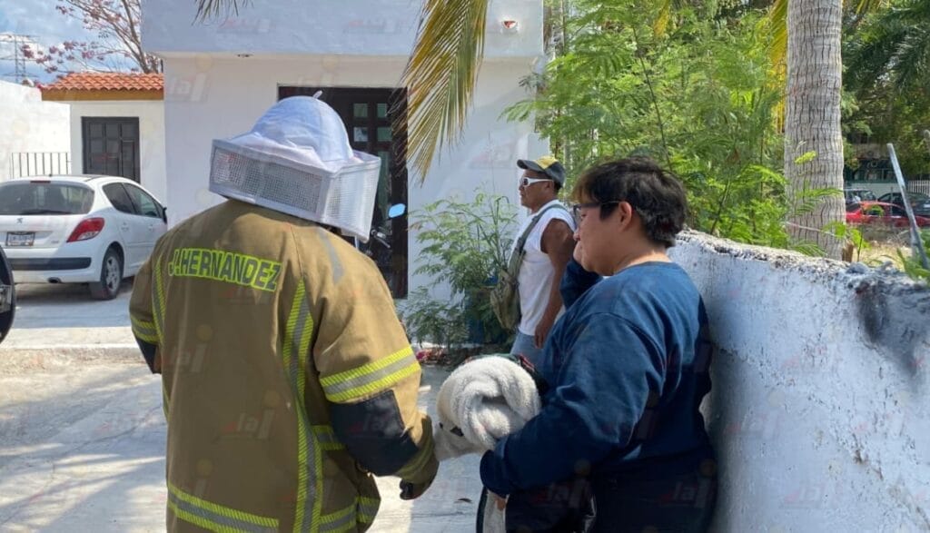 Ataque de abejas deja a mujer lesionada en fraccionamiento Dalias