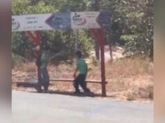 VIDEO|Violenta pelea entre estudiantes deja un joven muerto tras ataque con cuchillo VIDEO|Violenta pelea entre estudiantes deja un joven muerto tras ataque con cuchillo