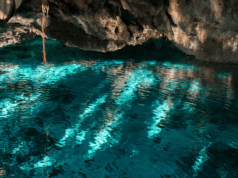 Caída de una gallina lleva al descubrimiento de un cenote en Hunucmá