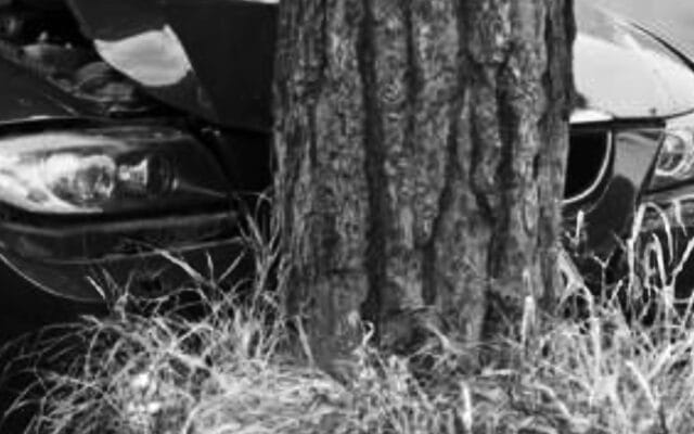 Tragedia familiar: Padre e hija pierden la vida al chocar contra un árbol en Ciudad del Carmen Padre hija chocar contra árbol Ciudad del Carmen
