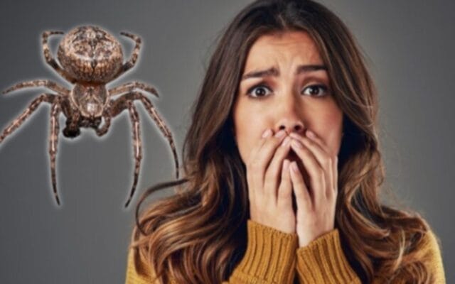 descubre que una araña vivió en su canal auditivo