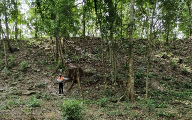 Tesoro Oculto: Registran “El Jefeciño”, nuevo sitio maya con más de 80 estructuras en el sur de Quintana Roo nuevo sitio maya Quintana Roo El Jefeciño