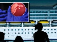 Francia misteriosa muerte